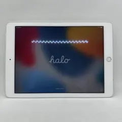 Apple iPad Air２　A1567 シルバー 本体