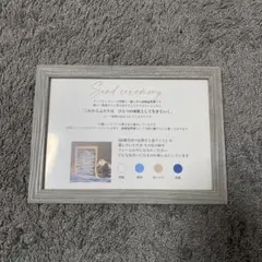 サンドセレモニー　説明文
