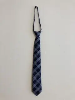 ネクタイ　制服　スーツ　コスプレ