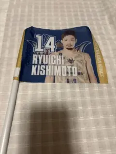 岸本隆一