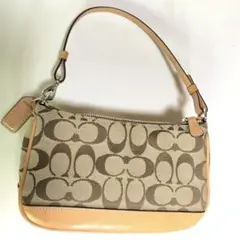 Item thumbnail for item ab492470-0f5d-4c2a-88b2-76f9fd531718