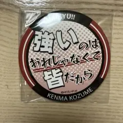 ハイキュー 名台詞キャラバッジコレクション 孤爪研磨　缶バッジ　名言　K