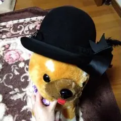 アリスアンドザパイレーツ フェルト?ハット