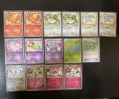 シャイニーコレクション3枚　ポケキュンコレクション12枚　計15枚