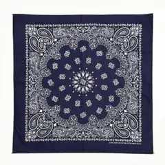 ■HAV-A-HANK/ハバハンク ネイビーペイズリーバンダナ新品■