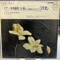 ベートーヴェン 月光 エリーゼのために