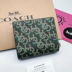 Item thumbnail for item 41a05a10-237b-43d3-81d4-2169ff6d1e42