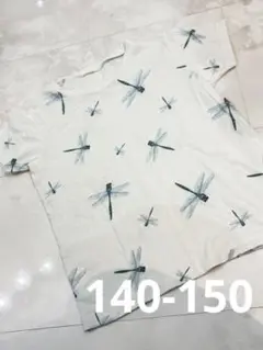 INSECT COLLECTION インセクトコレクショントンボ　Tシャツ
