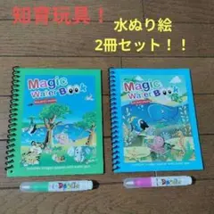 知育玩具！みずぬりえ☆繰り返し使える☆動物☆海の生き物☆新品・未使用☆2冊セット