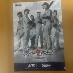 東京ヤクルトスワローズ A4クリアファイル 2枚セット