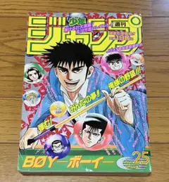 週刊少年ジャンプ 1995年　激レア レア 週刊少年ジャンプ1995年21・22号 表紙&巻頭カラー 新連載