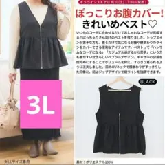 【新品】3L 大きいサイズ レディース ベスト ジレ しまむら Hina