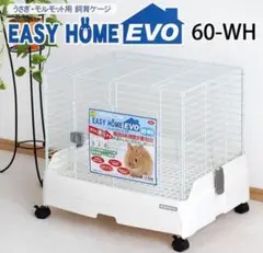 Item thumbnail for item 75cbdcf8-06ed-4006-8abc-7d9f229d9605