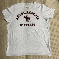 最終価格‼️Abercrombie & Fitch Tシャツ XL グレー