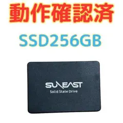 【動作確認済】SSD 256GB SUNEAST