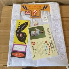 Item thumbnail for item 2284a4ec-2f10-4044-aed2-64fa15499adc