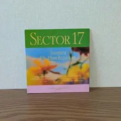 Seventeen SECTOR 17