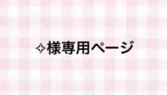 専用ページ