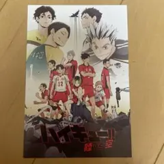 ハイキュー　陸vs空　ジャンプフェスタ　jf 限定配布　ポストカード　非売品