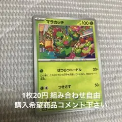 マラカッチ　在庫2