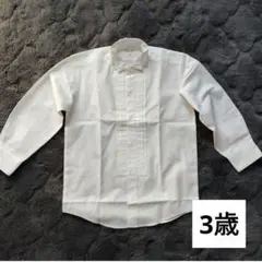 Item thumbnail for item 4413a175-6c39-40eb-911c-a8e561313cf5