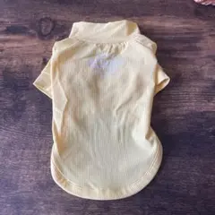 Item thumbnail for item f794da22-3fcd-4182-946e-5be2a50785f9