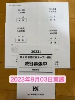 2025年最新】渋幕オープンの人気アイテム - メルカリ