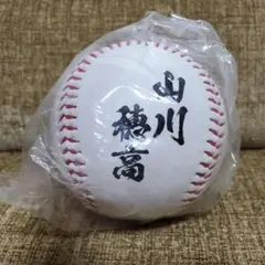 山川穂高　非売品　名前入り野球ボール　埼玉西武ライオンズ　クレーンゲーム景品