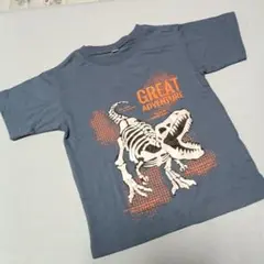 恐竜の骨格プリント Tシャツ