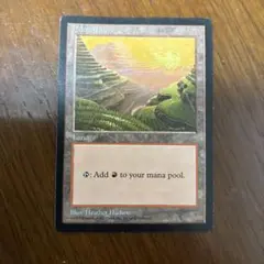 マジックザギャザリングMTG APACランド　山