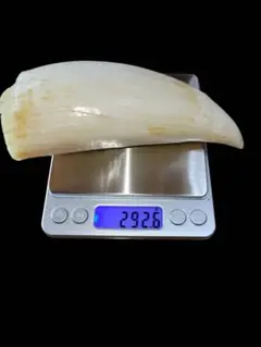 Item thumbnail for item 83314116-9dfe-4fe5-891d-7d0203951df3