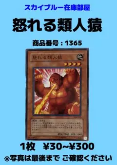 2025年最新】遊戯王 怒れる類人猿の人気アイテム - メルカリ