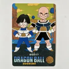 ドラゴンボール カードダス ビジュアルアドベンチャー 83 似合う？