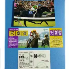 第126回　天皇賞（GⅠ）　 シンボリクリスエスの単勝当たり馬券 当日入場券 ⑬