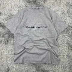 DELTA PRO WEIGHTワシントンカレッジTシャツ/刺繍ロゴ/グレー