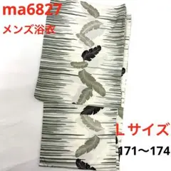 Item thumbnail for item 98e87ea2-9dc0-4bc1-b7c0-5f7c8853091a