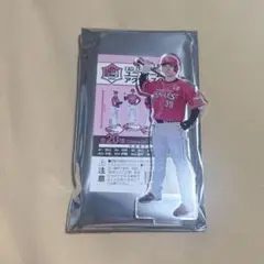 楽天イーグルス 伊藤裕季也選手 アクスタ