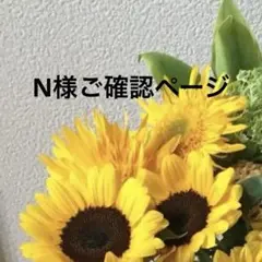 N様ご確認ページ