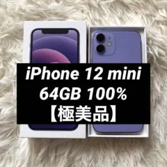 【本日限定価格】iPhone 12 mini 64GB 100%
