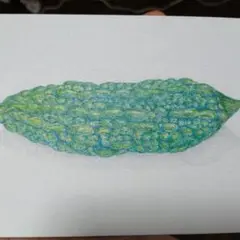 ゴーヤ イラスト