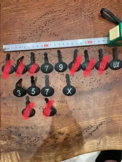 Item thumbnail for item 347d2336-9347-4c0e-be15-5067edcd8ee5