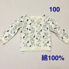 Item thumbnail for item 9e48c61f-f77e-4248-a246-78da1830910b