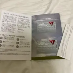 デルタ航空 シルバーメダリオン バッグタグ