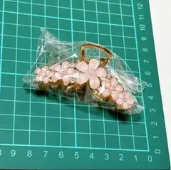 Item thumbnail for item 2867ae33-f64a-48f7-8f52-b2f9c0a2306e