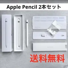 【美品2本セット】Apple Pencil 第1世代 A1603 ジャンク