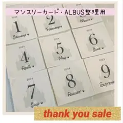 2508【即日発送】★大人気★マンスリーカード　月齢カード　アルバス　整理用