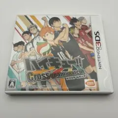 0587 3DS ハイキュー!! Cross team match!