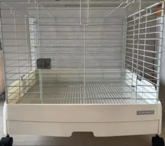 Item thumbnail for item e620a1da-ac15-4818-8982-a41f4dd6f142