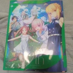 Fate　FGOフェス2024年9周年フェス記念アルバム レアかも