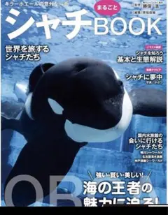 【新品未読品】シャチまるごとBOOK/南幅俊輔/鴨川シーワールド